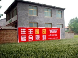 腾冲如何让墙体广告展现最大化效果