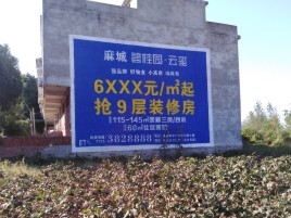 腾冲品牌公司青睐的墙体广告